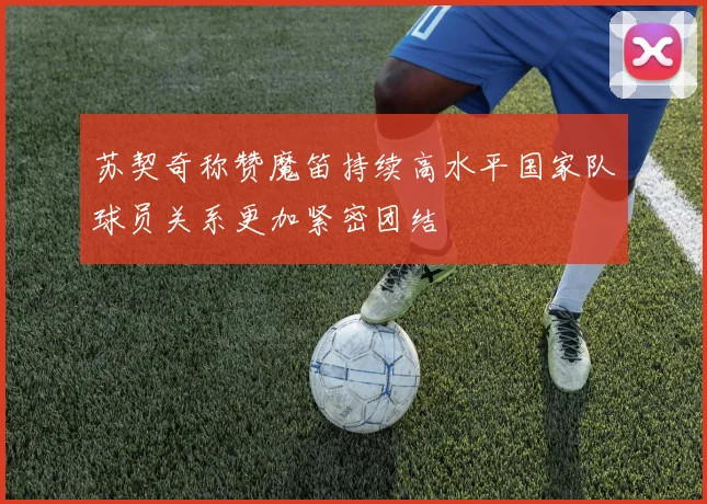 苏契奇称赞魔笛持续高水平国家队球员关系更加紧密团结